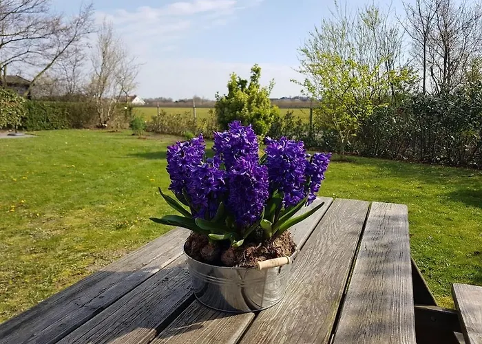 Bij Julianadorp, Afgesloten Tuin & Hond Welkom Дом отдыха Юлианадорп